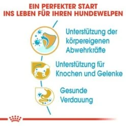 ROYAL CANIN Dachshund Puppy 1,5 Kg -Hundebedarfsgeschäft e3df83c3b9917ba5290ed079cb75903564bc4f9a d6125ad14b68f433ba6665255282b1c9a079a01e