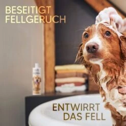 Pawlie's Hundeshampoo Für Langhaar -Hundebedarfsgeschäft e65234d72e0adb949f3fa491484e6ad7c7481584 1626203 de DE ce4f7e431ef810d9abd2a895abbb82da132a6dd7K3n77W