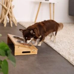 Lionto Futterstation Mit Bambusgestell 8 Lionto Futterstation Mit Bambusgestell -Hundebedarfsgeschäft e762634a87a53c4042e5b63f5ad9a631025e7cef 1665980 de DE 6bec3df4da87afbd35f2bf89c4f6a17e28748e22vGZNCF