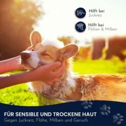 Pawlie's Sensitiv Hundeshampoo Für Hunde -Hundebedarfsgeschäft e89fe06ff66f08049212bfc10adc10153aeb63cf 1626194 de DE 4976fc58bb1aa66ec74bbce2250fc22a134be1c3oYKgL0