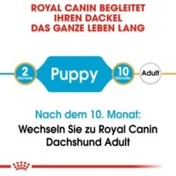 ROYAL CANIN Dachshund Puppy 1,5 Kg -Hundebedarfsgeschäft ee2aac613cf00c88aaae82fa246ce5ae3ab6cc7f 7a38d6cf79357ebeb9de74d6a41b9fe3439983e6