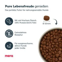 MERA Pure Sensitive Fresh Meat Rind & Kartoffel 4 Kg -Hundebedarfsgeschäft efd471048d278c683b756cc2751692fc6bb60e5e 1286913 4