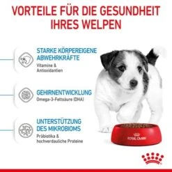 ROYAL CANIN Mini Puppy 8 Kg -Hundebedarfsgeschäft f04b24946028acb42b734103d58bb0208e88dc07 3182550793049 5
