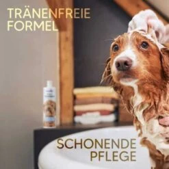Pawlie's Welpenshampoo -Hundebedarfsgeschäft f56801adb1bee6d0b5fdd328d641fa773ce5d4c4 1626204 de DE 7b87b87a2e48e8c0e12b98c918c4d75b538aae40E5TfEc