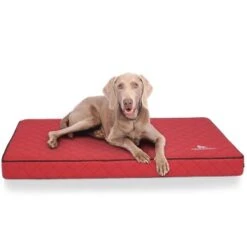 Knuffelwuff Orthopädische Hundematte Juna Aus Laser-gestepptem Kunstleder Rot L -Hundebedarfsgeschäft f8b9acde67bbc991a3791bba8cbd6c17097f2504 1411845 de DE 72b49e96d0fc008afacc20cc3236e69e758dd290NyBtW7