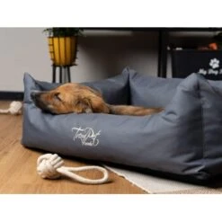 TrendPet Viscado Orthopädisches Hundebett Grau S -Hundebedarfsgeschäft fa523fcf214ad29948357f749f8411c84318d608 1223491 de DE 74cdf346c57dca6a823d241257081a9c82df4746q2Hpnp