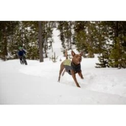 Ruffwear Climate Changer™ Fleece-Pullover Für Hunde Rot S -Hundebedarfsgeschäft fc22c2bf571467d3b4a13f07039506d1e744f556 1369661 de DE a9fba8eb5491b88489a9522880e926a6833ccfbe7NJDVr