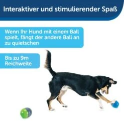 PetSafe Elektronisches Hundespielzeug Ricochet -Hundebedarfsgeschäft fde7c0cc07cd70611ca47b65ddae3e632f160d94 1418724 de DE 4f6e4953c50827cae26a42d6d5890e56447a49a4XQHEwC