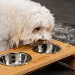 Lionto Erhöhte Futterstation Aus Bambus Braun/ Silber S -Hundebedarfsgeschäft ff2eba128a0d6b75a70cc824dc213b8dd85d734a 1665921 de DE e23b5a688ebe67bbe1f23e079b16083d61ef18cdlFh9kV