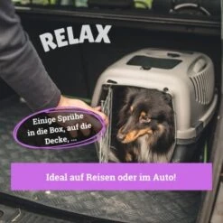 BeG Buddy Körbchen Spray Beruhigung Stress -Hundebedarfsgeschäft ff97e24f73abe920e2d91b9e82fc0744eeee30cb 1669471 de DE fed409965dbdf1e9c402b568c8bd6838783b1718DPneMm