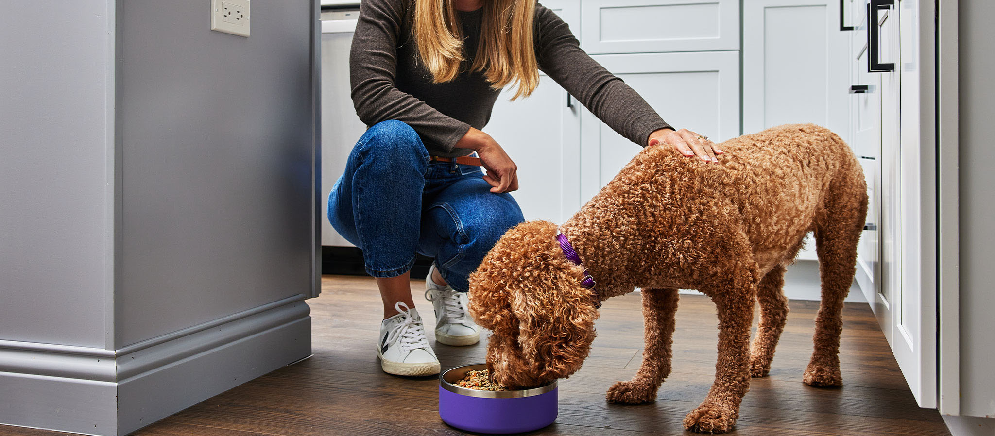 Hundebedarfsgeschäft -Hundebedarfsgeschäft 1